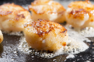 Sea Scallops