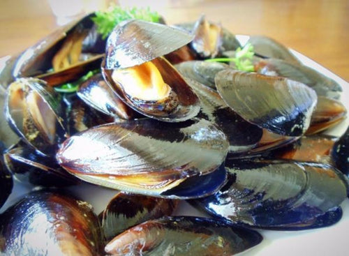 Blue Mussels