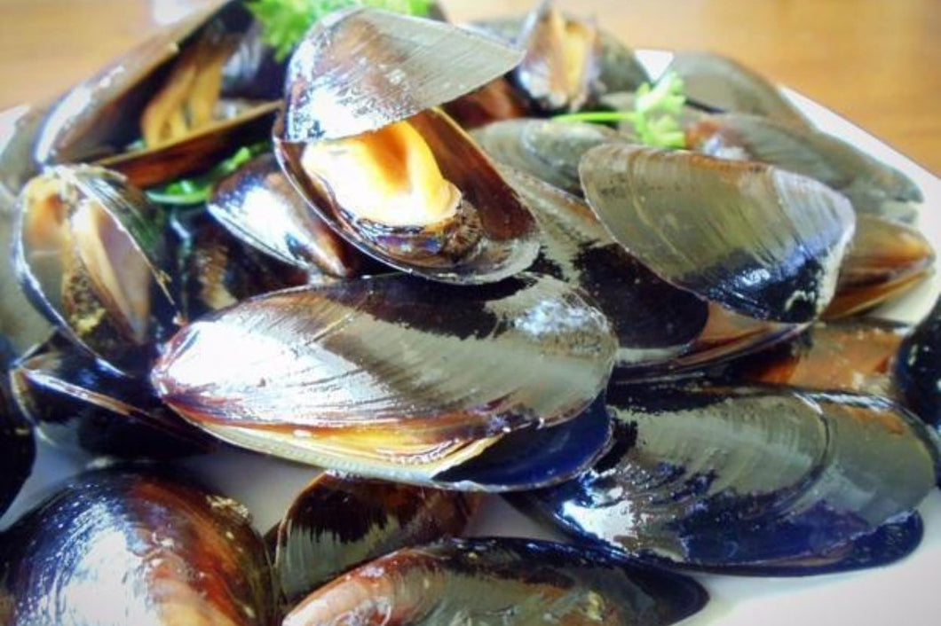 Blue Mussels